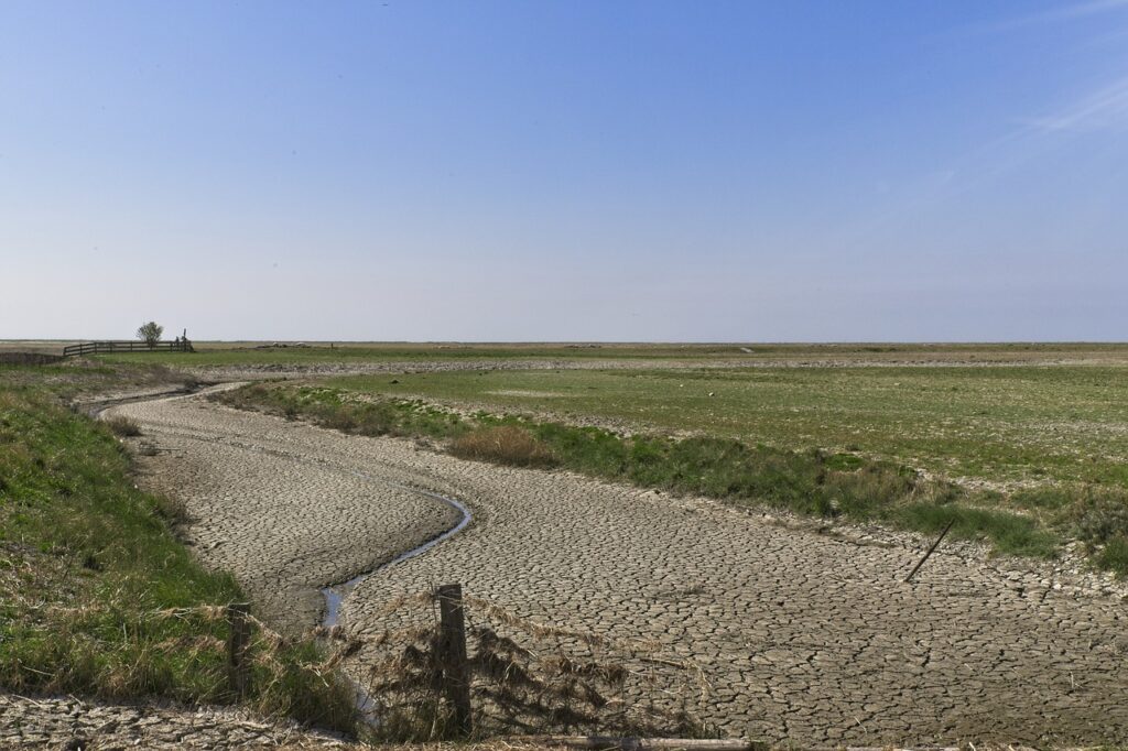 Tekort aan zoetwater in Waddenregio leidt tot verzilting van bodem